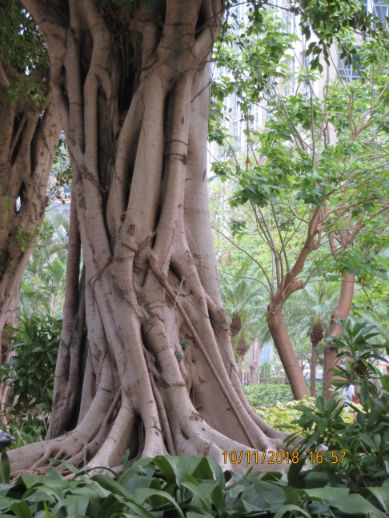 Carlos d'Assumpcao Park, Macau