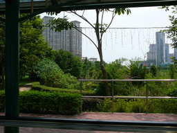 Taipa Municipal Garden, Macau