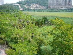 Taipa Municipal Garden, Macau