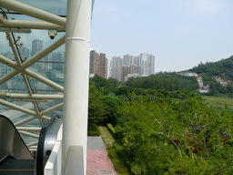 Taipa Municipal Garden, Macau