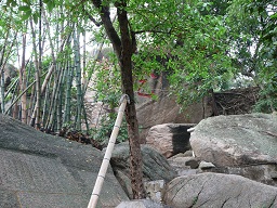 A-Ma Temple, Macau