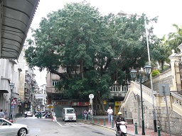 out front of St. Lawrence Church, Macau