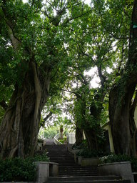 steps leading to Largo do Carmo, Taipa, Macau